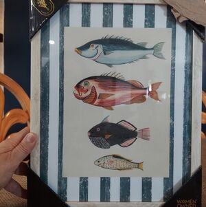 NWT 11 X 14 Sapna Fish Parrot Framed Wall Art.